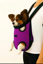 Görseli Galeri görüntüleyiciye yükleyin, Bacco Milano Kedi ve Köpek ana kucağı, kangru çanta