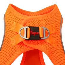 Görseli Galeri görüntüleyiciye yükleyin, Lucky Paw Göğüs Tasması - TURUNCU (FOSFORLU)