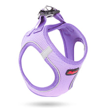 Görseli Galeri görüntüleyiciye yükleyin, Lucky Paw Göğüs Tasması - AÇIK MOR