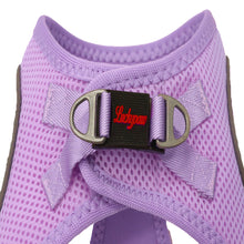 Görseli Galeri görüntüleyiciye yükleyin, Lucky Paw Göğüs Tasması - AÇIK MOR