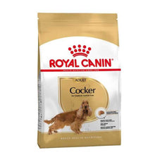 Görseli Galeri görüntüleyiciye yükleyin, Royal Canin Cocker Irka Özel Yetişkin Köpek Maması 3 kg