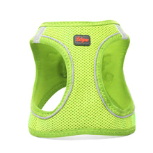 Görseli Galeri görüntüleyiciye yükleyin, Lucky Paw Göğüs Tasması - YEŞİL (FOSFORLU)
