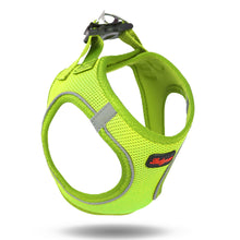 Görseli Galeri görüntüleyiciye yükleyin, Lucky Paw Göğüs Tasması - YEŞİL (FOSFORLU)