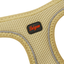 Görseli Galeri görüntüleyiciye yükleyin, Lucky Paw Göğüs Tasması - BEJ