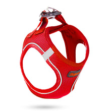 Görseli Galeri görüntüleyiciye yükleyin, Lucky Paw Göğüs Tasması - KIRMIZI