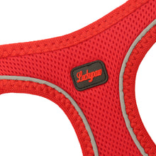 Görseli Galeri görüntüleyiciye yükleyin, Lucky Paw Göğüs Tasması - KIRMIZI