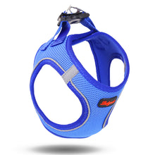 Görseli Galeri görüntüleyiciye yükleyin, Lucky Paw Göğüs Tasması - MAVİ