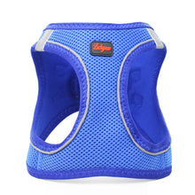 Görseli Galeri görüntüleyiciye yükleyin, Lucky Paw Göğüs Tasması - MAVİ