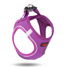 Görseli Galeri görüntüleyiciye yükleyin, Lucky Paw Göğüs Tasması - MOR
