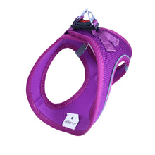 Görseli Galeri görüntüleyiciye yükleyin, Lucky Paw Göğüs Tasması - MOR