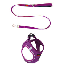 Görseli Galeri görüntüleyiciye yükleyin, Lucky Paw Göğüs Tasması - UZATMA KAYIŞI TAKIMI