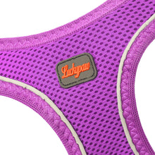Görseli Galeri görüntüleyiciye yükleyin, Lucky Paw Göğüs Tasması - MOR
