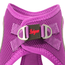 Görseli Galeri görüntüleyiciye yükleyin, Lucky Paw Göğüs Tasması - MOR