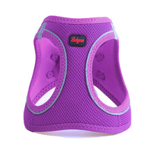Görseli Galeri görüntüleyiciye yükleyin, Lucky Paw Göğüs Tasması - MOR