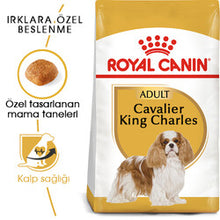 Görseli Galeri görüntüleyiciye yükleyin, Royal Canin Cavalier King Charles Köpek Maması 3 Kg