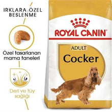 Görseli Galeri görüntüleyiciye yükleyin, Royal Canin Cocker Irka Özel Yetişkin Köpek Maması 3 kg