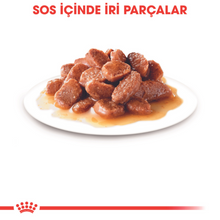 Görseli Galeri görüntüleyiciye yükleyin, Royal Canin Hair & Skin Care Gravy Pouch Kedi Yaş Maması 85 Gr