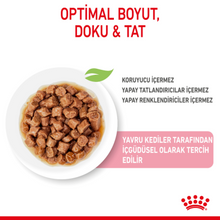 Görseli Galeri görüntüleyiciye yükleyin, Royal Canin Kitten Gravy Pouch Yavru Kedi Yaş Maması 85 Gr