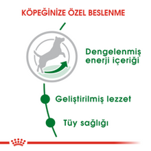 Görseli Galeri görüntüleyiciye yükleyin, Royal Canin Mini Adult Yetişkin Köpek Maması 2 Kg