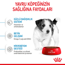 Görseli Galeri görüntüleyiciye yükleyin, Royal Canin Mini Puppy Köpek Maması 2 kg