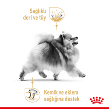 Görseli Galeri görüntüleyiciye yükleyin, Royal Canin Pomerian Adult Pouch Köpek Yaş Maması 85 Gr