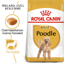 Görseli Galeri görüntüleyiciye yükleyin, Royal Canin Poodle Adult Yetişkin Köpek Maması 3 Kg