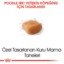 Görseli Galeri görüntüleyiciye yükleyin, Royal Canin Poodle Adult Yetişkin Köpek Maması 3 Kg