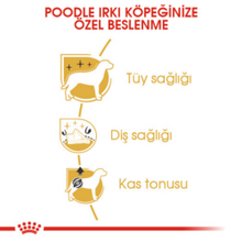 Görseli Galeri görüntüleyiciye yükleyin, Royal Canin Poodle Adult Yetişkin Köpek Maması 3 Kg