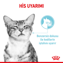 Görseli Galeri görüntüleyiciye yükleyin, Royal Canin Sensory Feel Gravy Pouch Kedi Yaş Maması 85 Gr