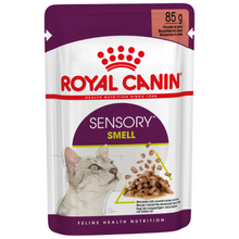 Görseli Galeri görüntüleyiciye yükleyin, Royal Canin Sensory Smell Gravy Pouch Kedi Yaş Maması 85 Gr