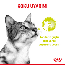 Görseli Galeri görüntüleyiciye yükleyin, Royal Canin Sensory Smell Gravy Pouch Kedi Yaş Maması 85 Gr
