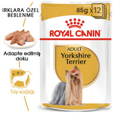 Görseli Galeri görüntüleyiciye yükleyin, Royal Canin Yorkshire Terier Adult Pouch Köpek Yaş Maması 85 Gr