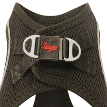 Görseli Galeri görüntüleyiciye yükleyin, Lucky Paw Göğüs Tasması - SİYAH