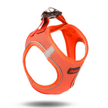 Görseli Galeri görüntüleyiciye yükleyin, Lucky Paw Göğüs Tasması - TURUNCU (FOSFORLU)