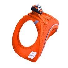 Görseli Galeri görüntüleyiciye yükleyin, Lucky Paw Göğüs Tasması - TURUNCU (FOSFORLU)