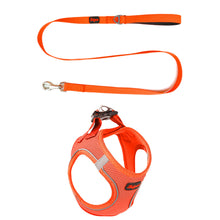 Görseli Galeri görüntüleyiciye yükleyin, Lucky Paw Göğüs Tasması - UZATMA KAYIŞI TAKIMI