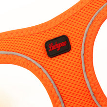 Görseli Galeri görüntüleyiciye yükleyin, Lucky Paw Göğüs Tasması - TURUNCU (FOSFORLU)