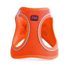Görseli Galeri görüntüleyiciye yükleyin, Lucky Paw Göğüs Tasması - TURUNCU (FOSFORLU)