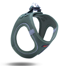 Görseli Galeri görüntüleyiciye yükleyin, Lucky Paw Göğüs Tasması - YEŞİL