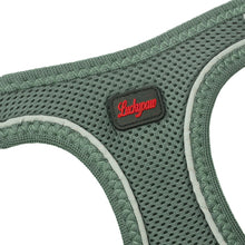 Görseli Galeri görüntüleyiciye yükleyin, Lucky Paw Göğüs Tasması - YEŞİL