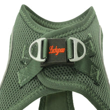Görseli Galeri görüntüleyiciye yükleyin, Lucky Paw Göğüs Tasması - YEŞİL