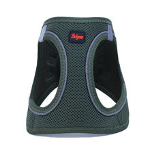 Görseli Galeri görüntüleyiciye yükleyin, Lucky Paw Göğüs Tasması - YEŞİL