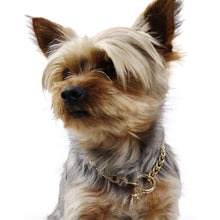 Görseli Galeri görüntüleyiciye yükleyin, NATZIONE PASLANMAZ ÇELİK ALTIN KAPLAMA UÇLU KEDİ KÖPEK ZİNCİR KOLYESİ