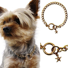 Görseli Galeri görüntüleyiciye yükleyin, NATZIONE PASLANMAZ ÇELİK ALTIN KAPLAMA UÇLU KEDİ KÖPEK ZİNCİR KOLYESİ