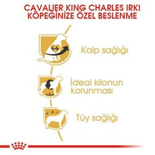 Görseli Galeri görüntüleyiciye yükleyin, Royal Canin Cavalier King Charles Köpek Maması 3 Kg
