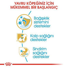 Görseli Galeri görüntüleyiciye yükleyin, Royal Canin Cavalier King Charles Köpek Maması 1.5 Kg-Yavru Cavalier King Charles Spaniel ırkı köpekleri için mama (tam yem) - 12 aya kadar
