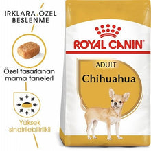 Görseli Galeri görüntüleyiciye yükleyin, Royal Canin Cavalier Chihuahua Adult Köpek Maması 1.5 Kg-Yetişkin ve yaşlı Chihuahua ırkı köpekler için mama (tam yem) - 8 aydan büyük
