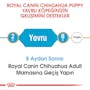 Royal Canin Cavalier Chihuahua Puppy Köpek Maması 1.5 Kg-Yavru Chihuahua Puppy ırkı köpekleri için mama (tam yem) - 12 aya kadar