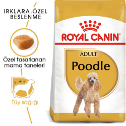 Royal Canin Poodle Adult Yetişkin Köpek Maması 3 Kg