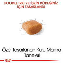 Görseli Galeri görüntüleyiciye yükleyin, Royal Canin Poodle Adult Yetişkin Köpek Maması 3 Kg
